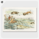 1-51_Sporting-Sketches_picture-crop