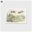 1-51_Sporting-Sketches_postcard