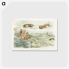 1-51_Sporting-Sketches_postcard