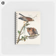 アートメモ帳-Red-shouldered Hawk from Birds of America
 - アメリカの鳥たち Memo.