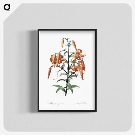1-51_The-Lilies_blk-crop