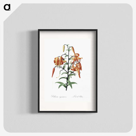 1-51_The-Lilies_blk