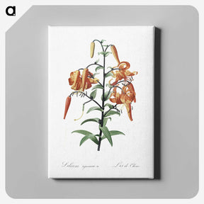 1-51_The-Lilies_canvas