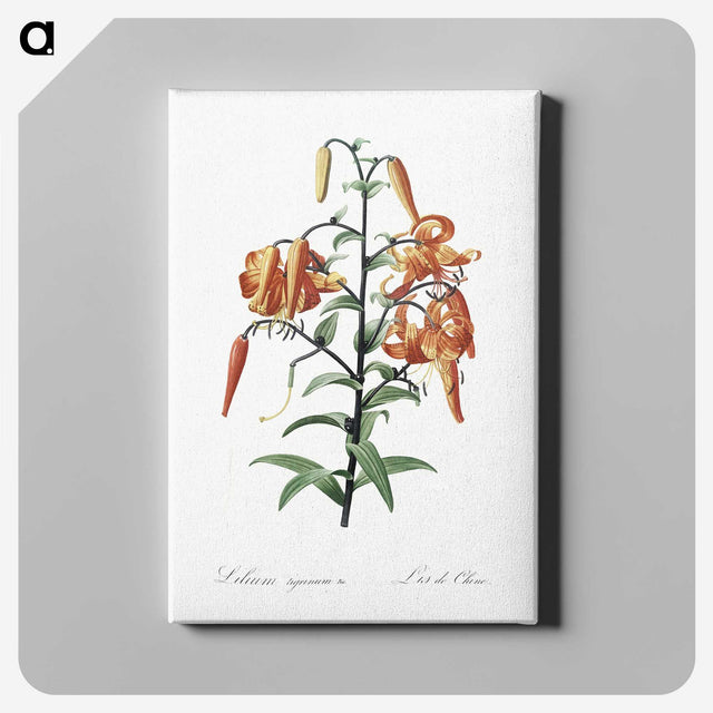 1-51_The-Lilies_canvas