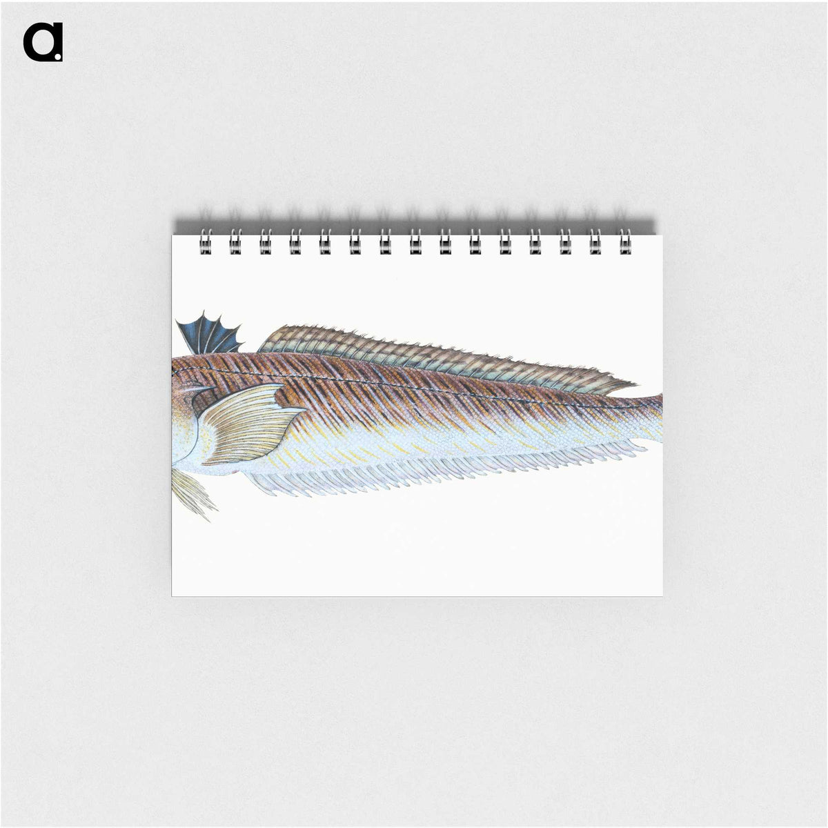1-51_The-Natural-History-of-British-Fishes_memo