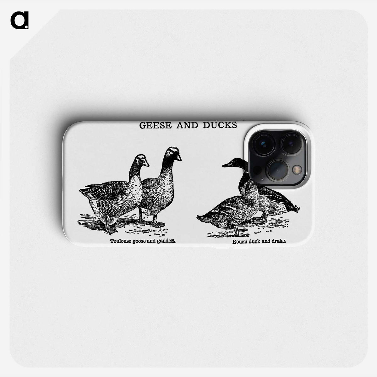 1-51_The-Open-Door-to-Independence_phone