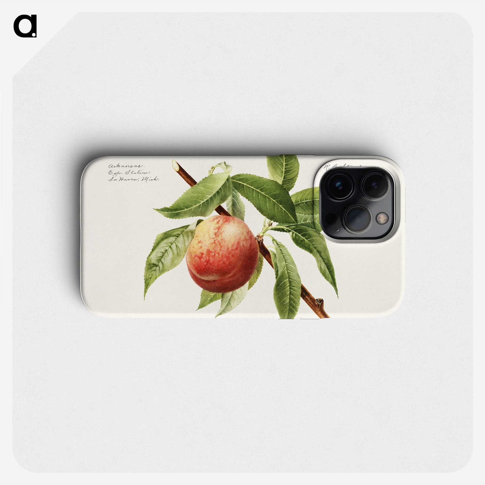 1-51_USDA-Watercolor-Fruit-Painting-Collection_phone