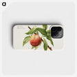 1-51_USDA-Watercolor-Fruit-Painting-Collection_phone