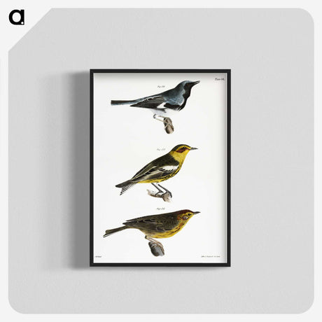 1-51_Zoology-of-New-York_blk-crop