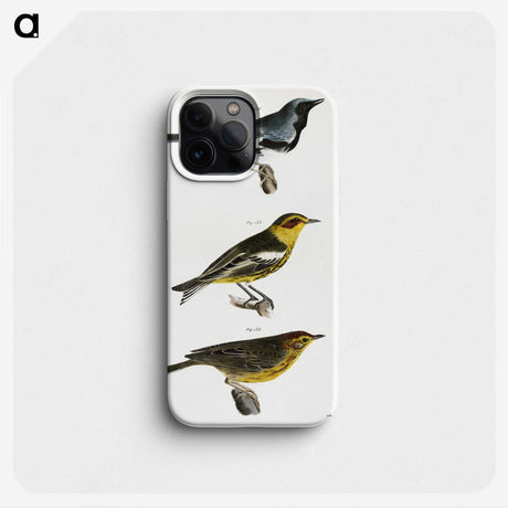 1-51_Zoology-of-New-York_phone