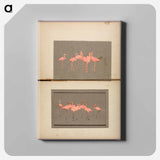 Flamingoes - アボット ハンダーソン セイヤー Canvas.