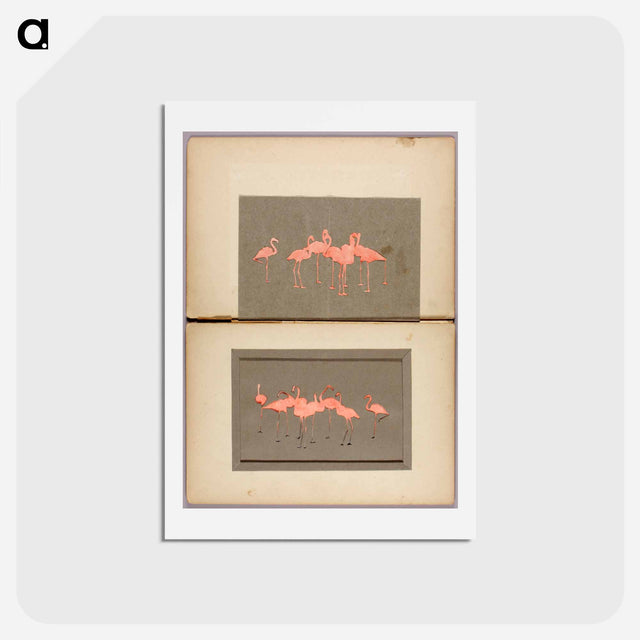アートポストカード-Flamingoes - アボット ハンダーソン セイヤー Postcard.