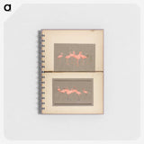 1-52_Abbott-Handerson-Thayer_memo