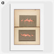 1-52_Abbott-Handerson-Thayer_picture