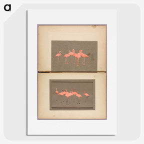 1-52_Abbott-Handerson-Thayer_picture