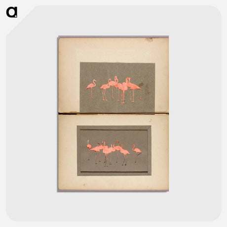 アートポストカード-Flamingoes - アボット ハンダーソン セイヤー Postcard.