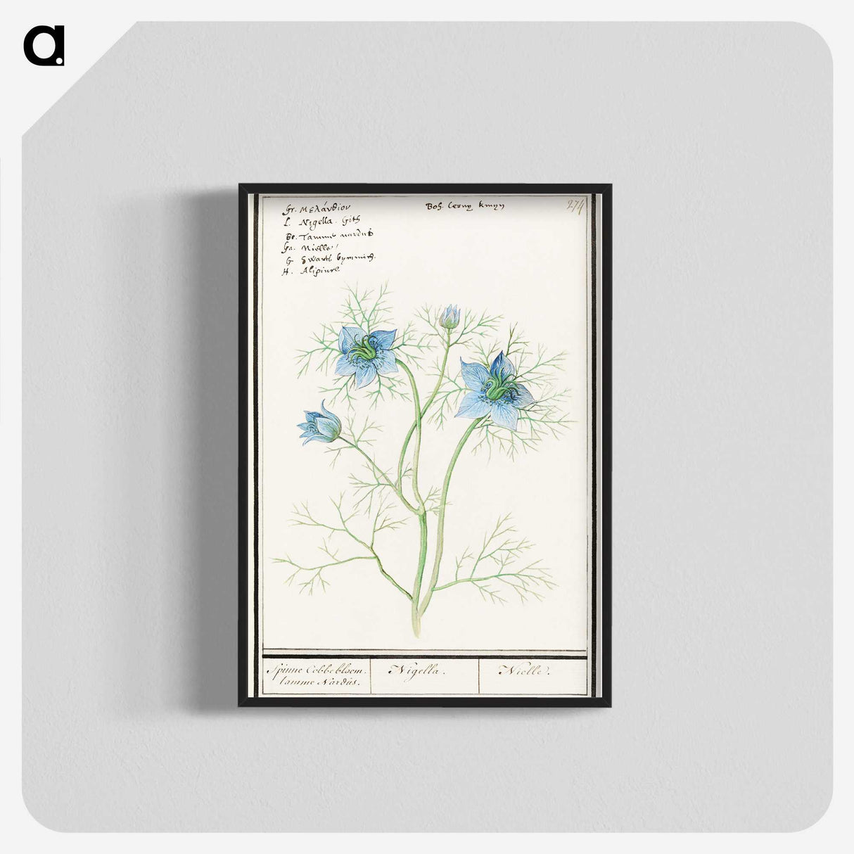 1-52_Anselmus-Boetius-de-Boodt_blk-crop