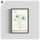 1-52_Anselmus-Boetius-de-Boodt_blk-crop