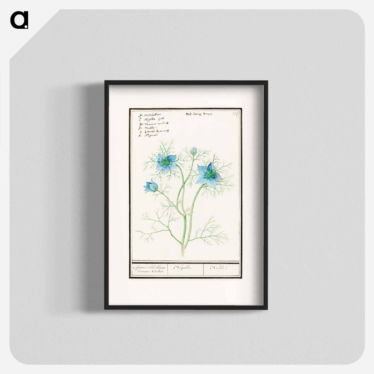 Damsel-in-the-green - アンセルムス ボエティウス デ ブート Poster.