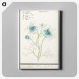 1-52_Anselmus-Boetius-de-Boodt_canvas
