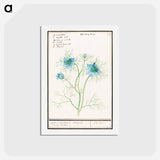 アートポストカード-Damsel-in-the-green - アンセルムス ボエティウス デ ブート Postcard.