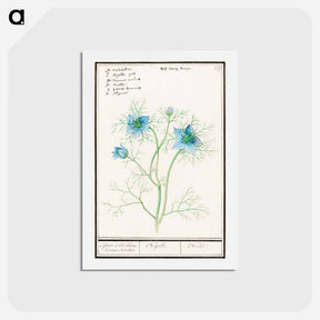 アートポストカード-Damsel-in-the-green - アンセルムス ボエティウス デ ブート Postcard.