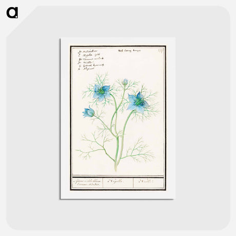 アートポストカード-Damsel-in-the-green - アンセルムス ボエティウス デ ブート Postcard.