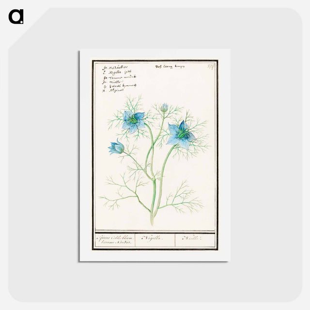 アートポストカード-Damsel-in-the-green - アンセルムス ボエティウス デ ブート Postcard.