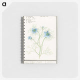 1-52_Anselmus-Boetius-de-Boodt_memo