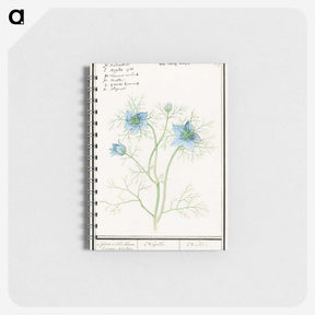1-52_Anselmus-Boetius-de-Boodt_memo