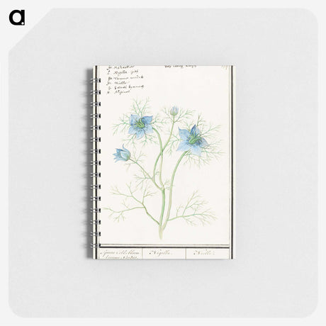 1-52_Anselmus-Boetius-de-Boodt_memo