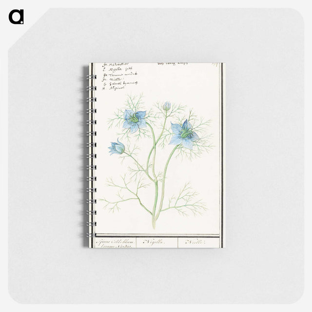 1-52_Anselmus-Boetius-de-Boodt_memo