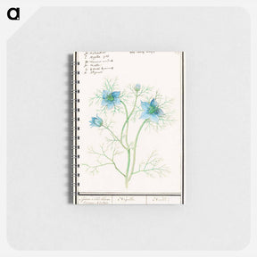 アートメモ帳-Damsel-in-the-green - アンセルムス ボエティウス デ ブート Memo.