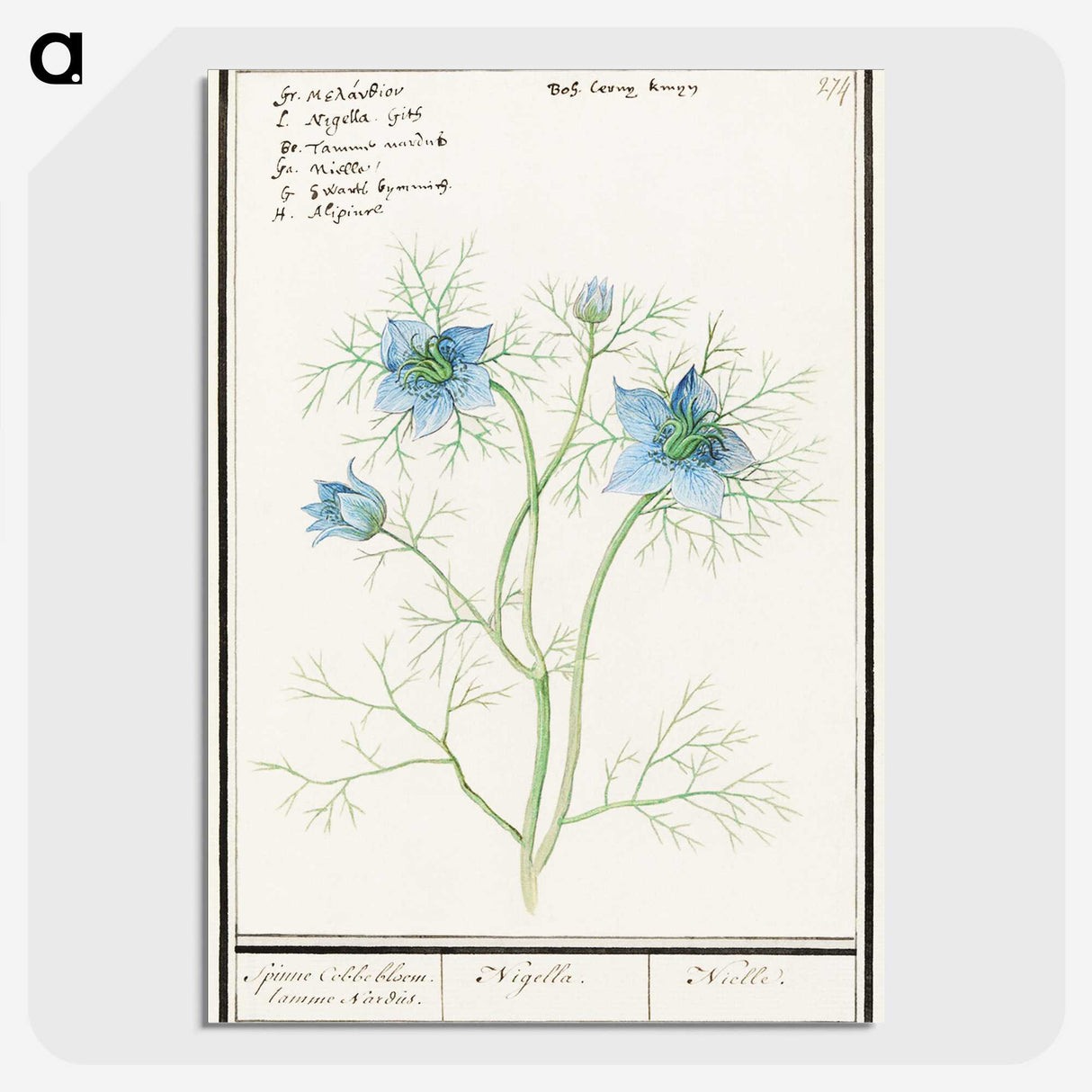1-52_Anselmus-Boetius-de-Boodt_picture-crop