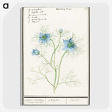 1-52_Anselmus-Boetius-de-Boodt_picture-crop