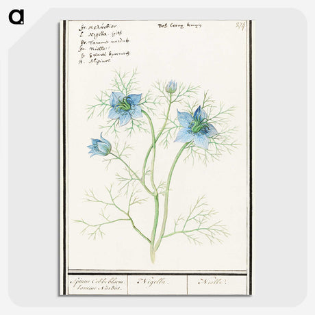 1-52_Anselmus-Boetius-de-Boodt_picture-crop