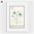 1-52_Anselmus-Boetius-de-Boodt_picture