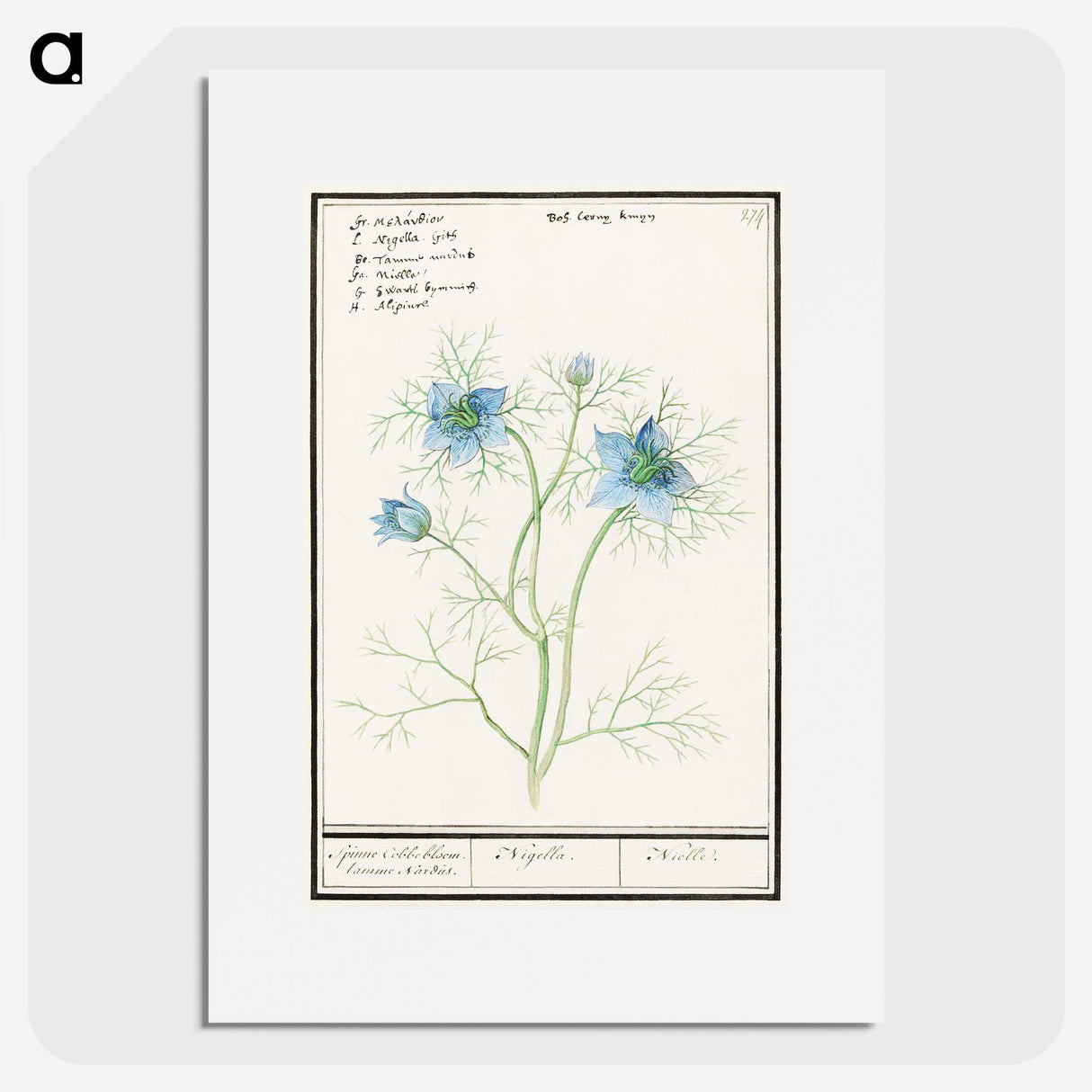 1-52_Anselmus-Boetius-de-Boodt_picture