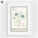 1-52_Anselmus-Boetius-de-Boodt_picture