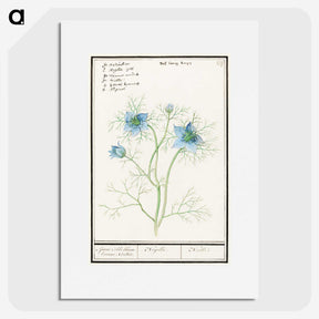 1-52_Anselmus-Boetius-de-Boodt_picture