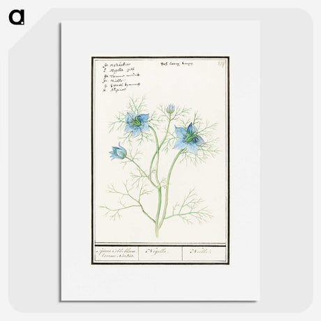 1-52_Anselmus-Boetius-de-Boodt_picture