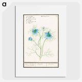 Damsel-in-the-green - アンセルムス ボエティウス デ ブート Poster.
