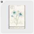 1-52_Anselmus-Boetius-de-Boodt_postcard