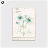 アートポストカード-Damsel-in-the-green - アンセルムス ボエティウス デ ブート Postcard.