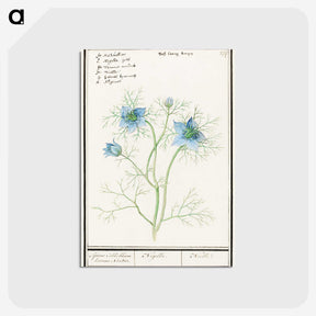 1-52_Anselmus-Boetius-de-Boodt_postcard