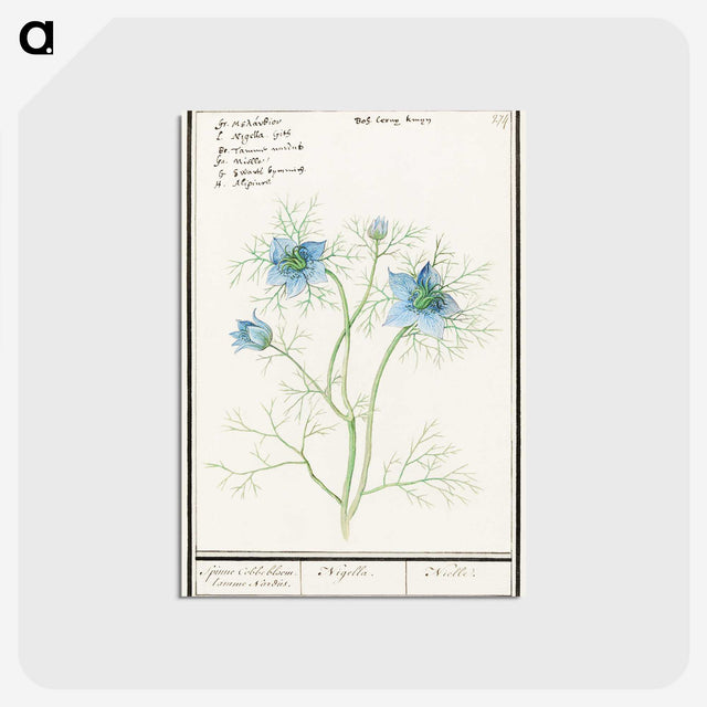 1-52_Anselmus-Boetius-de-Boodt_postcard
