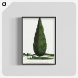 1-52_Botanical-Specimen-Plates_blk-crop