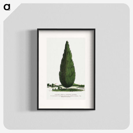 1-52_Botanical-Specimen-Plates_blk