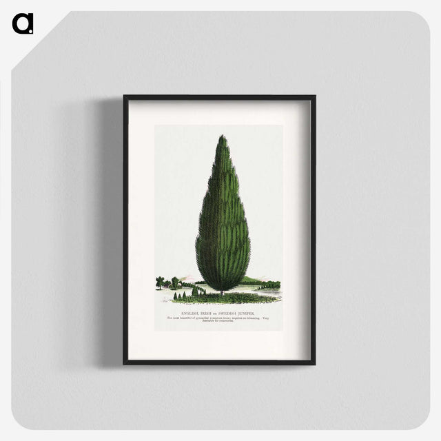 1-52_Botanical-Specimen-Plates_blk