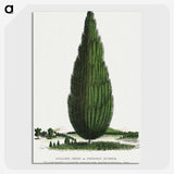 1-52_Botanical-Specimen-Plates_picture-crop